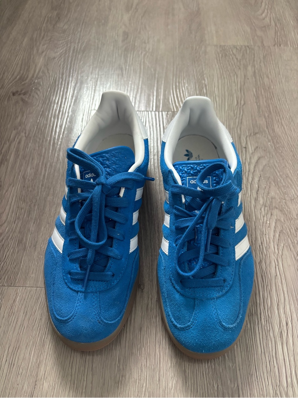 Adidas Gazelle Indoor Bluebird White Sneakers